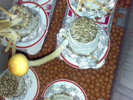 022982380-4.jpg