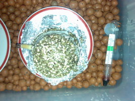 022982385-5.jpg