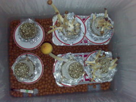 022982391-6.jpg