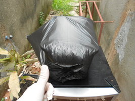 DSCN2406.JPG