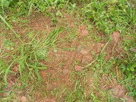 DSCN2408.JPG