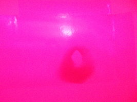 DSCN2465.JPG