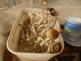 DSCN3247.JPG