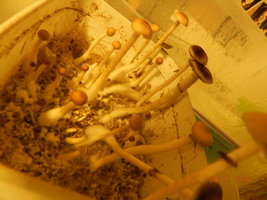 DSCN3248.JPG
