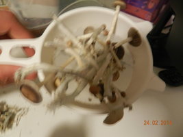 DSCN3249.JPG