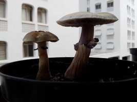 IMG_20140223_111128.jpg