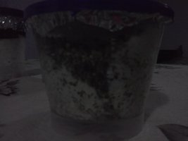 CAM01492.jpg