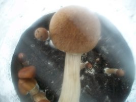 100_6306.jpg