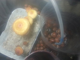 20130702_151254.jpg