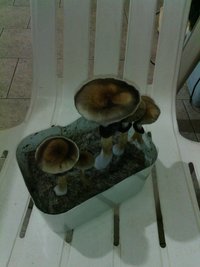 IMG_20130703_013856.jpg