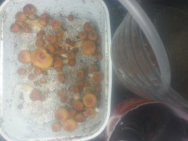 20130624_222523.jpg