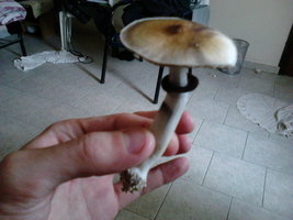 IMG00100.jpg