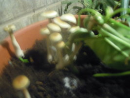 DSCN3348.JPG