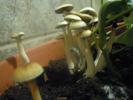 DSCN3351.JPG