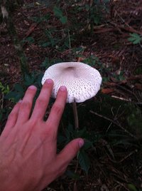 IMG_1102.JPG