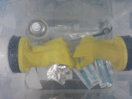 seringas_glove_2.jpg