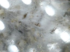 A_I+9_170x_3.jpg