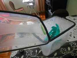 DSCN0711.JPG