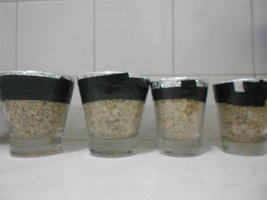 DSCN0735.JPG