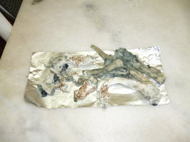 Penis Envy 57.JPG