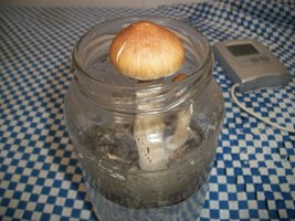 100_6337.JPG