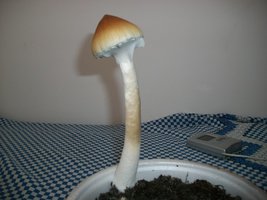 100_6327.JPG