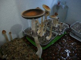 100_6345.JPG