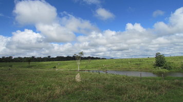 IMG_1577.JPG