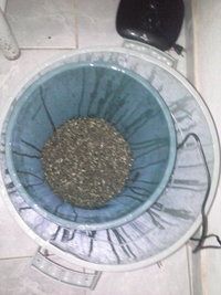 CAM00620.jpg