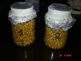 07.jpg