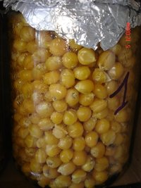 09.jpg