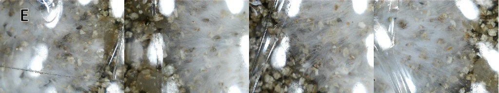 E_I+7_170x_6.jpg