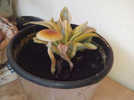 2014-04-13 12.57.09.jpg