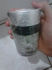 IMG020.jpg