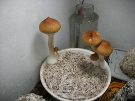100_6357.jpg