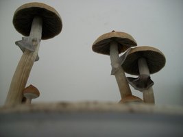 100_6363.jpg