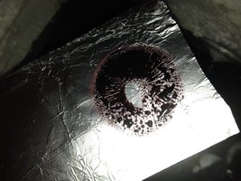 IMG_1013.JPG