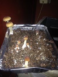 IMG_1008.JPG