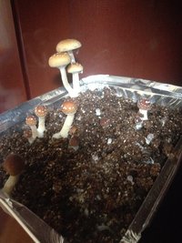 IMG_1010.JPG