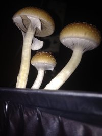 IMG_1011.JPG