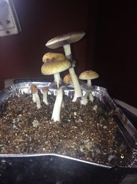 IMG_1016.JPG