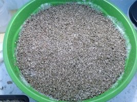 CAM00967.jpg
