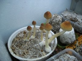 100_6387.jpg