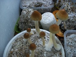 100_6388.jpg