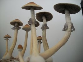100_6394.jpg