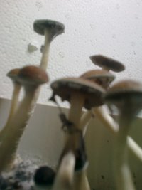 2014-04-24-638.jpg