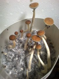 2014-04-24-639.jpg