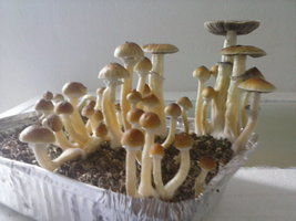 CAM00884.jpg