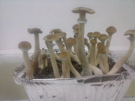 CAM00921.jpg