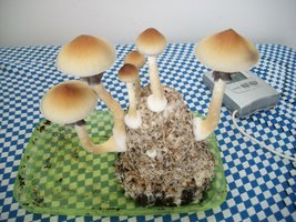 100_6407.jpg